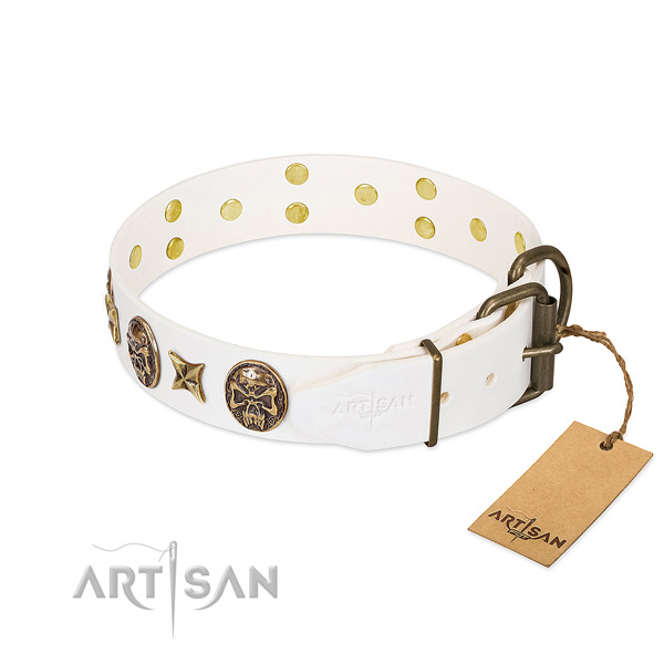 Rust-proof hardware on full grain natural leather collar for daily walking your pet