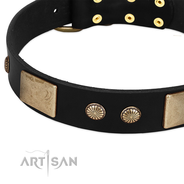 Full grain leather dog collar with adornments for comfortable wearing