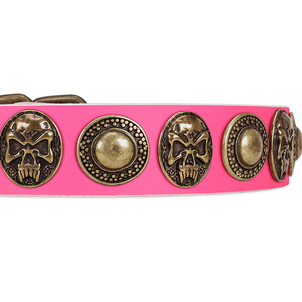 Corrosion resistant D-ring on genuine leather dog collar for your four-legged friend