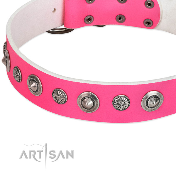 Full grain natural leather collar with rust-proof fittings for your lovely doggie