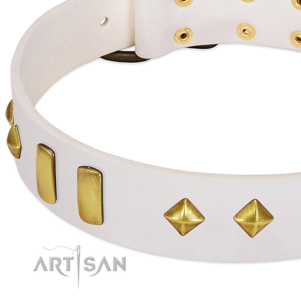 Handy use full grain leather dog collar with fashionable adornments