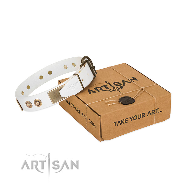 Rust resistant buckle on full grain genuine leather dog collar for your pet