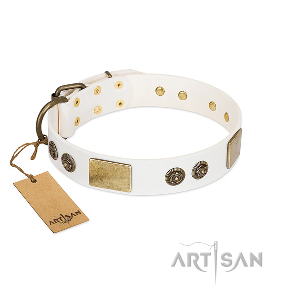 Extraordinary full grain natural leather dog collar for stylish walking