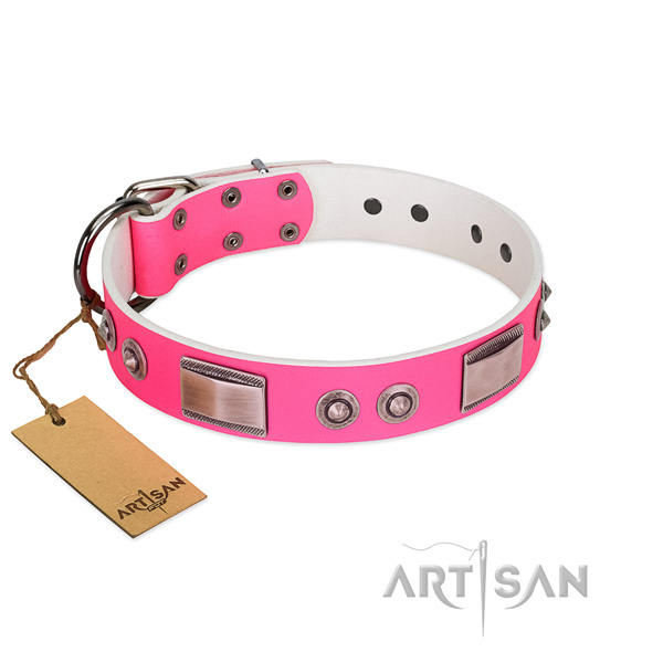 Easy to adjust leather collar with embellishments for your dog