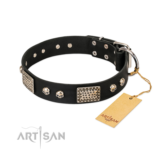 Easy wearing full grain leather dog collar for everyday walking your doggie