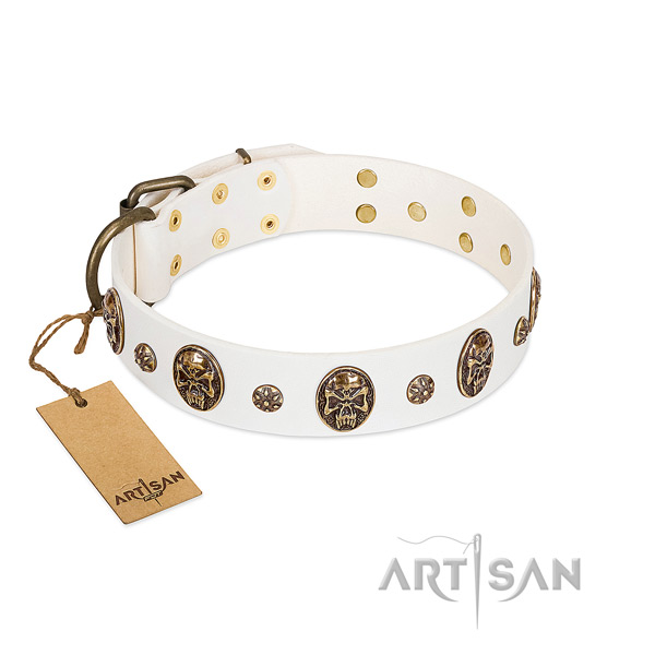 Exquisite leather collar for your pet