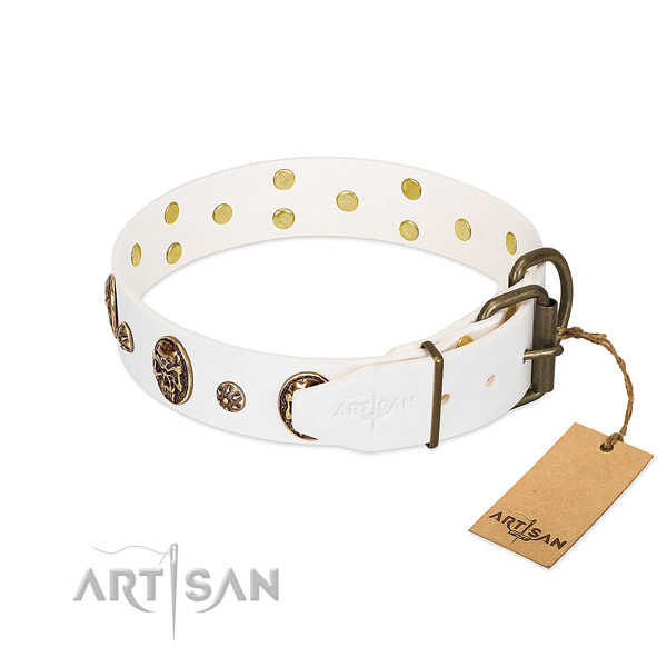 Rust resistant adornments on full grain natural leather dog collar for your dog