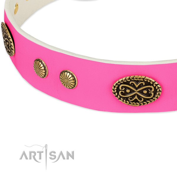 Corrosion resistant embellishments on full grain leather dog collar for your four-legged friend