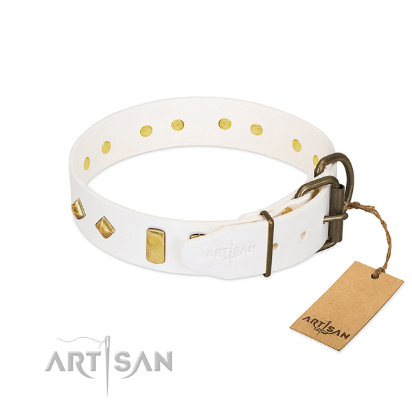 Soft to touch full grain natural leather dog collar with rust resistant fittings