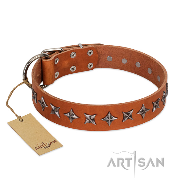 Fancy walking dog collar of quality genuine leather with decorations