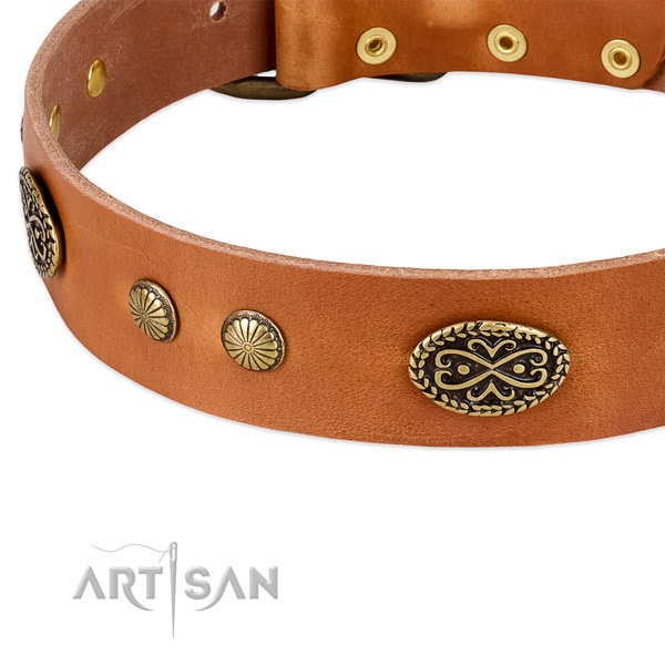 Reliable traditional buckle on full grain leather dog collar for your four-legged friend