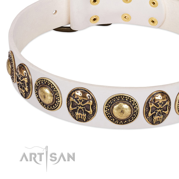 Strong traditional buckle on full grain natural leather dog collar for your dog