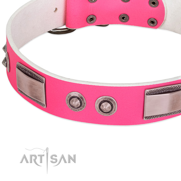 Trendy natural leather collar with embellishments for your four-legged friend