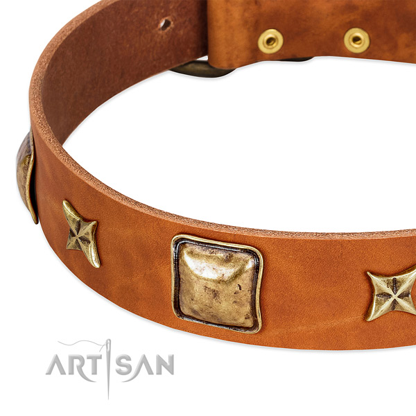 Corrosion proof fittings on genuine leather dog collar for your four-legged friend
