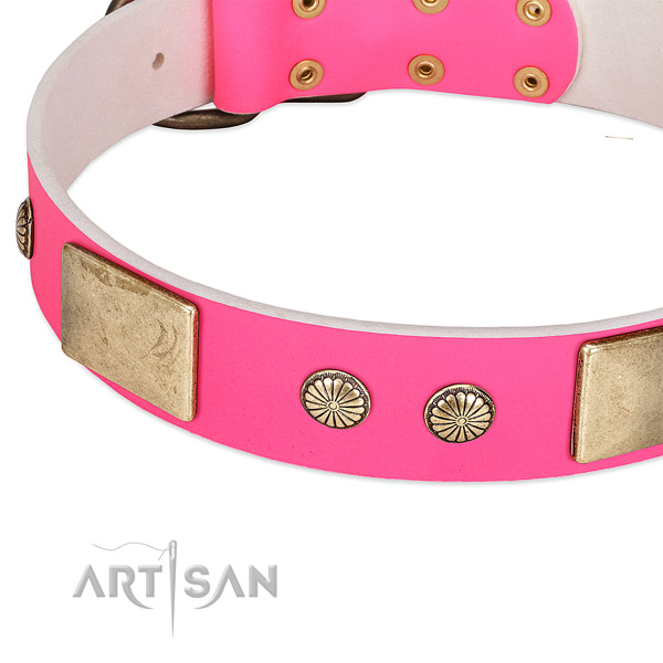 Corrosion proof adornments on natural leather dog collar for your four-legged friend