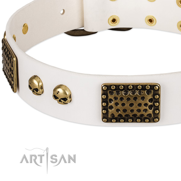 Durable embellishments on leather dog collar for your canine