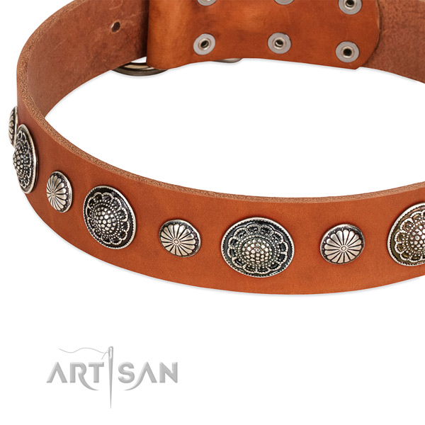 Full grain leather collar with reliable fittings for your impressive doggie