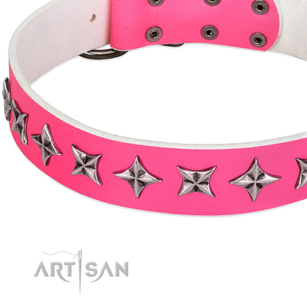 Everyday walking embellished dog collar of durable full grain genuine leather