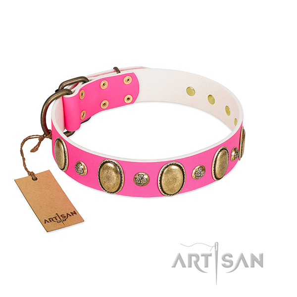 Leather dog collar of reliable material with top notch studs