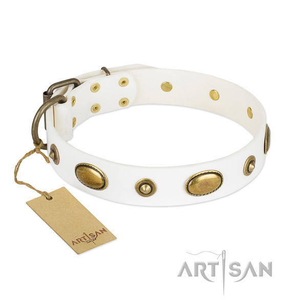 Remarkable leather collar for your dog