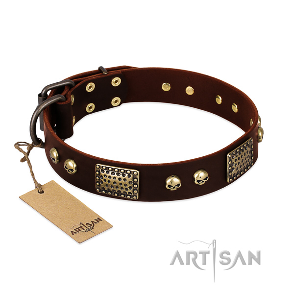 Easy to adjust leather dog collar for walking your doggie