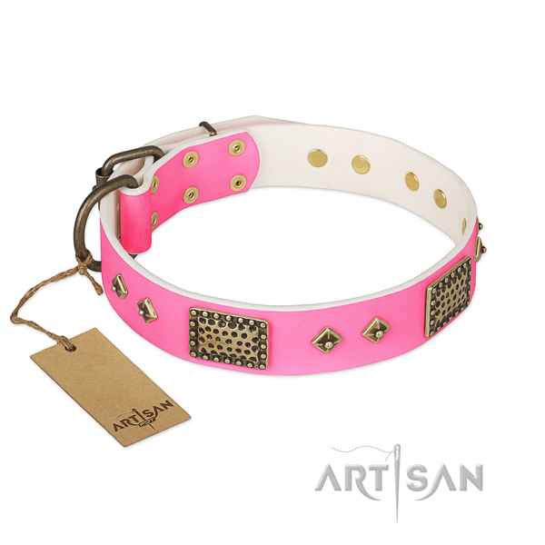 Adjustable full grain leather dog collar for basic training your four-legged friend