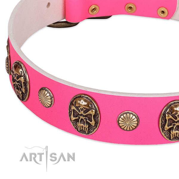 Rust-proof buckle on leather dog collar for your canine