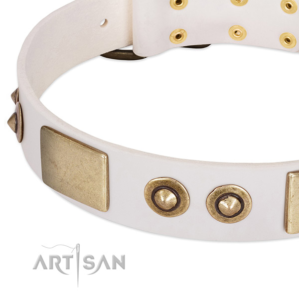 Corrosion resistant hardware on leather dog collar for your doggie