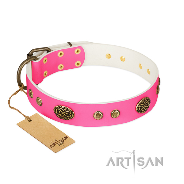 Corrosion resistant buckle on natural leather dog collar for your pet