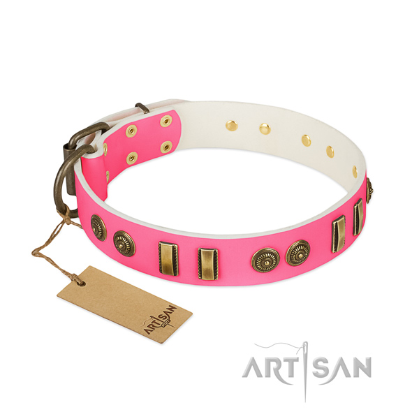 Extraordinary full grain leather collar for your pet