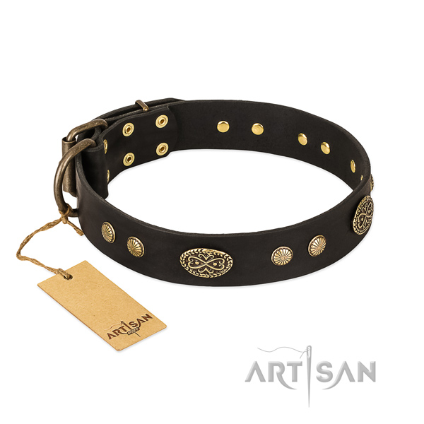 Rust-proof embellishments on full grain genuine leather dog collar for your pet
