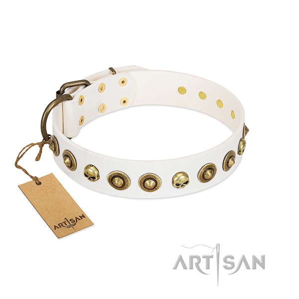 Genuine leather collar with exceptional embellishments for your dog