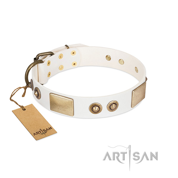 Durable D-ring on full grain leather dog collar for your pet