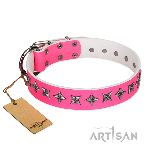 Walking dog collar of fine quality genuine leather with adornments