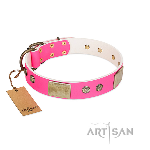 Easy to adjust natural leather dog collar for stylish walking your four-legged friend