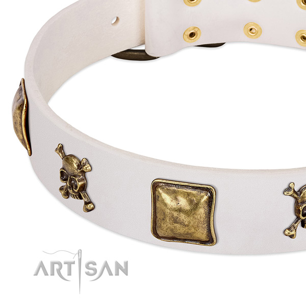 Top notch full grain natural leather dog collar with reliable decorations