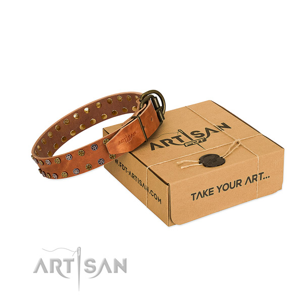 Stylish walking soft full grain leather dog collar with embellishments