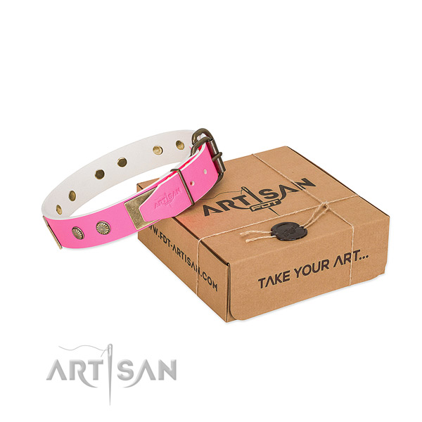 Rust-proof fittings on dog collar for daily use