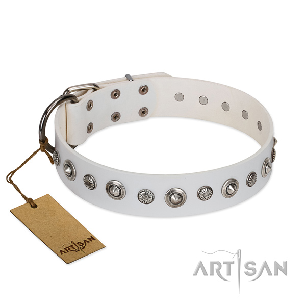 Strong full grain natural leather dog collar with top notch decorations