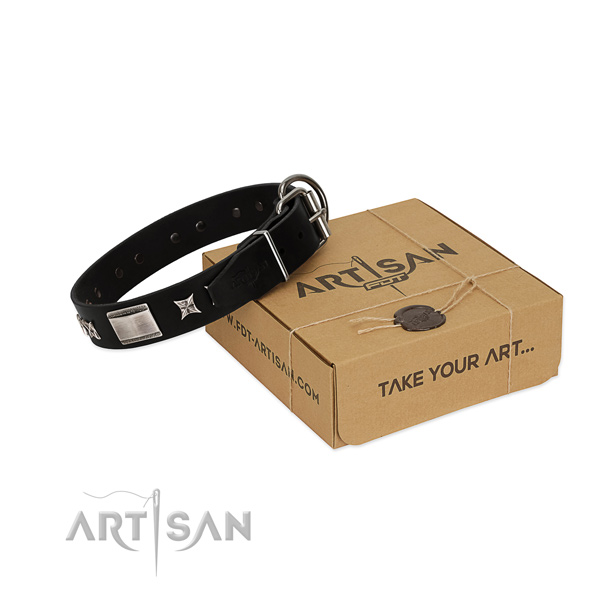 Best quality natural leather dog collar with reliable traditional buckle