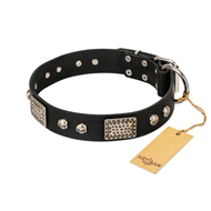 "Pirates Gold" FDT Artisan Black Leather Rottweiler Collar with Old Silver Look Plates and Skulls "Pirates Gold" FDT Artisan Black Leather Rottweiler Collar with Old Silver Look Plates and Skulls