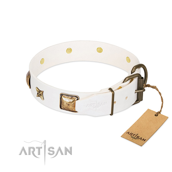 Full grain genuine leather dog collar with corrosion proof fittings and decorations