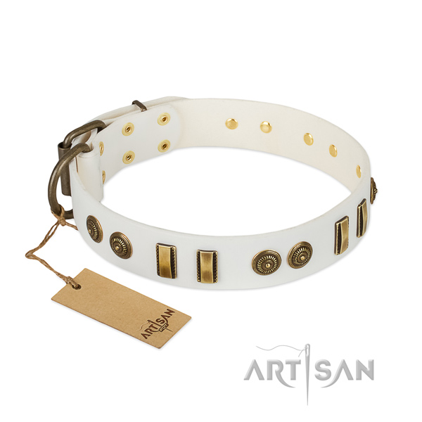 Reliable fittings on genuine leather dog collar for your doggie