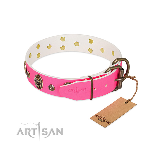Rust resistant buckle on leather collar for basic training your doggie