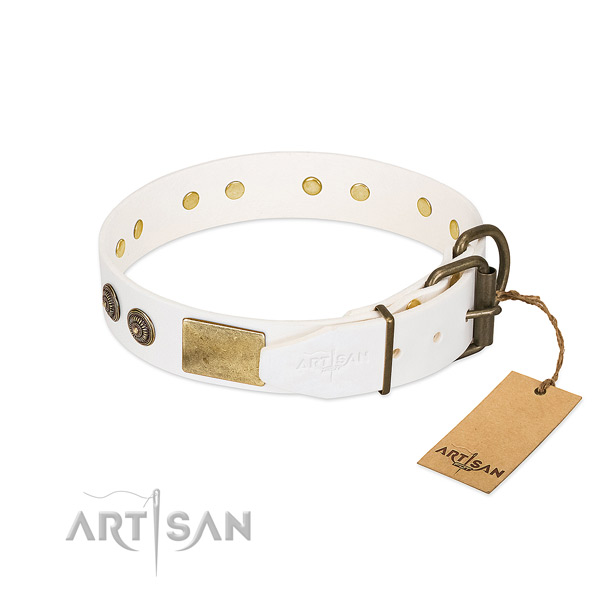 Corrosion resistant buckle on genuine leather collar for everyday walking your pet