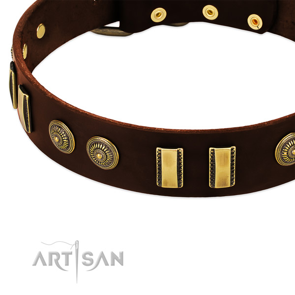 Reliable embellishments on genuine leather dog collar for your dog