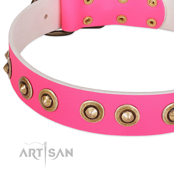 Rust-proof adornments on natural genuine leather dog collar for your doggie