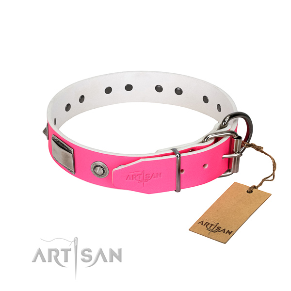 Convenient full grain leather collar with embellishments for your canine