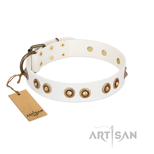 Easy wearing leather collar for your dog
