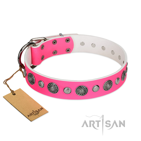 Durable leather dog collar with corrosion resistant fittings